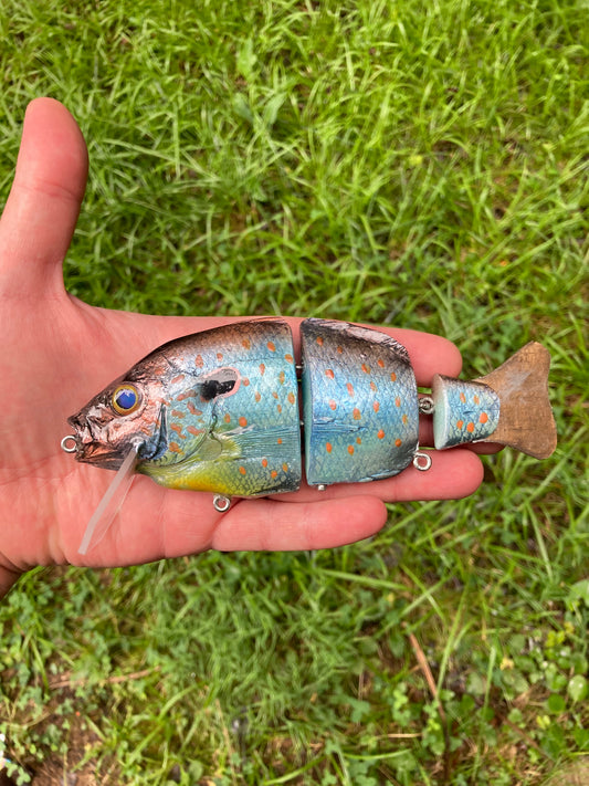 Hyperrealism Orange Spotted Sunfish Wake&Crank